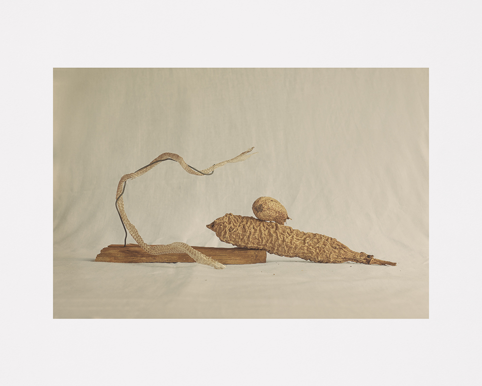 Michael Rygaard, Zambezi River 50x70 art print - ALIUM